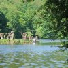 img_6793