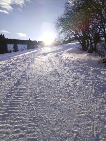 30d91a77-dacd-4bdd-87d5-a6906bdc429f