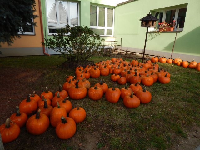dscn9410