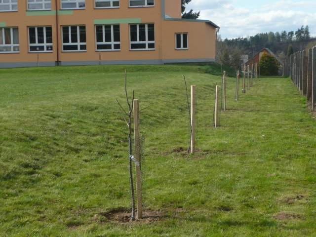 p1010850