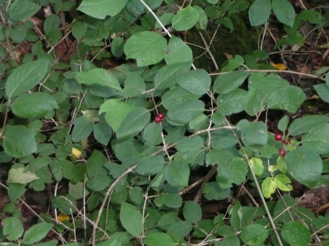 p1000679