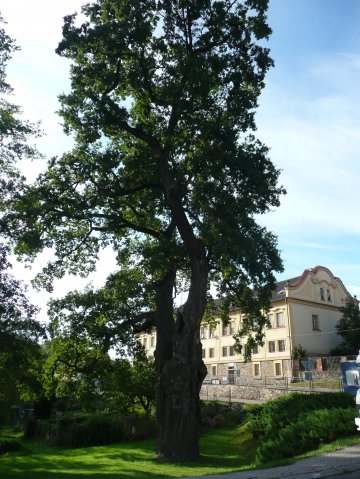 p1000683