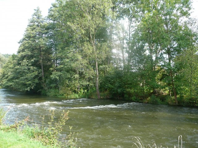 p1000699