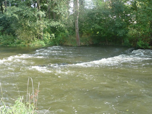 p1000700