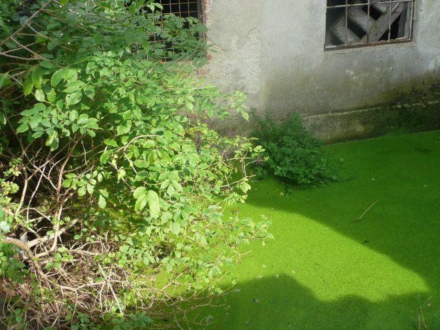 p1000705