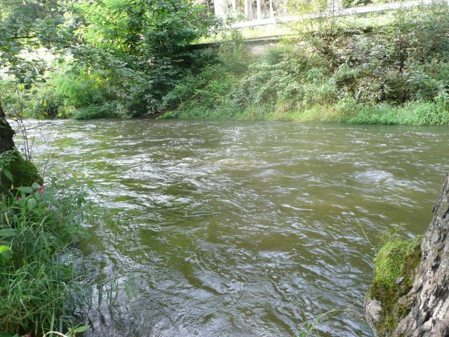 p1000706