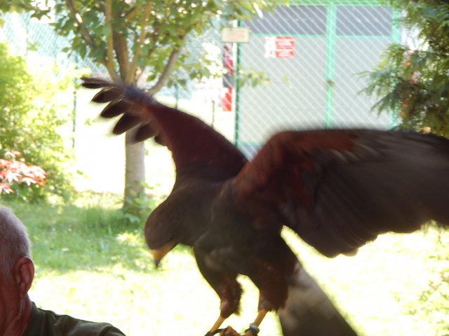 dscn9420