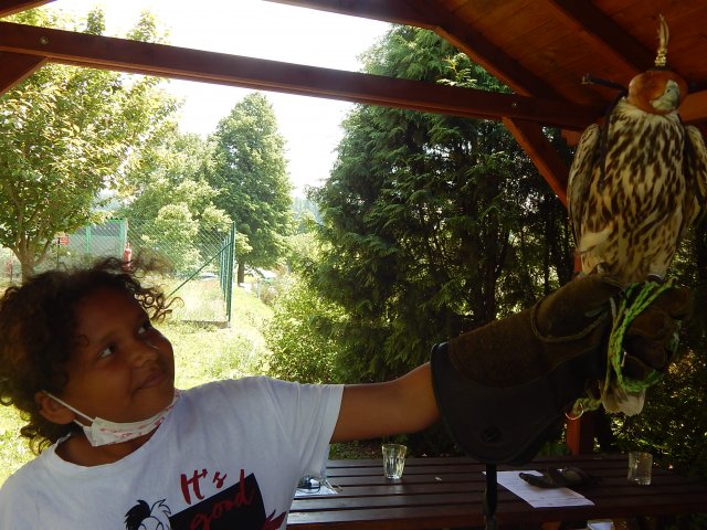 dscn9464