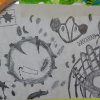 dscn9499