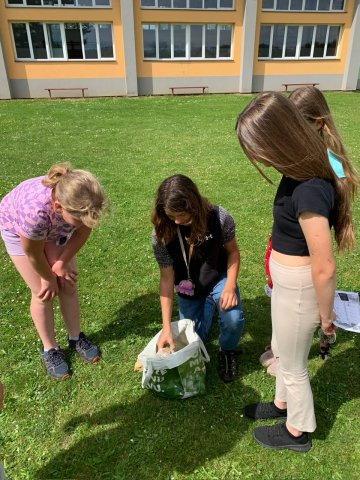 5e138591-ddee-442c-8c0f-fa9c79a243d5