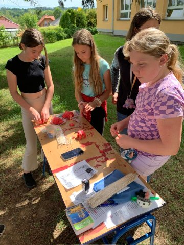 c40adfe6-779d-426c-b0a7-c4baf34b887f