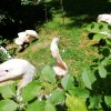 img_20210615_114420
