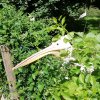 img_20210615_114424