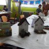 dscn0002