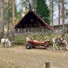 img_6248