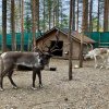img_6260