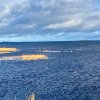 img_6397