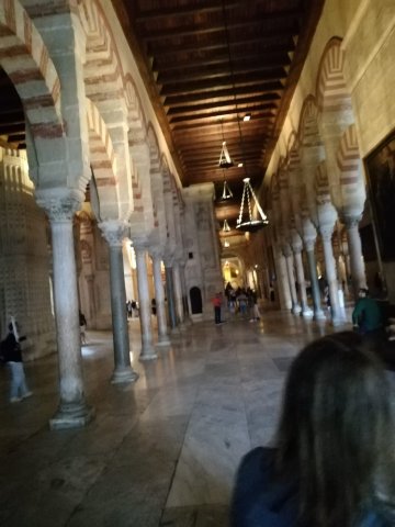 img-20251019-wa0069