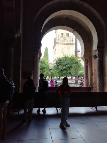 img-20251019-wa0070
