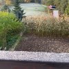 img-20251019-wa0018