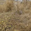 img_20251020_123330