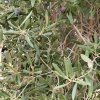 img_20251020_123520