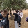 img_20251020_123644