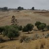img_20251020_124119