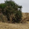 img_20251020_124203