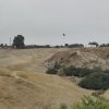 img_20251020_124439