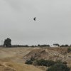 img_20251020_124442