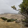 img_20251020_124808