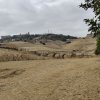 img_20251020_135004