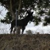 img_20251020_140740