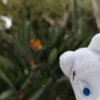 img_20251021_162848
