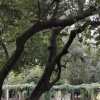 img_20251021_165732