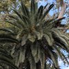 img_20251021_165847