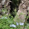 img_20251021_170006_1