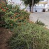 img_20251022_145512