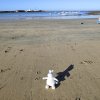 img_20251023_102238