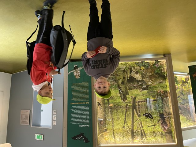 img-2423