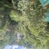 b98bf6c9-c02b-4482-b675-12640c73d681