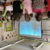 d0d4045b-c6c8-4e0a-8c36-27ab4638aa70