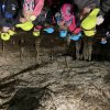 img-2457
