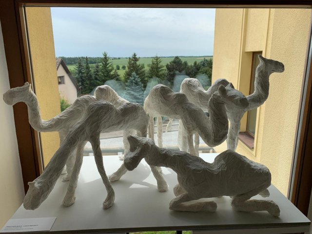 cc167034-a507-4dad-bbc8-a3fa9d4ec5fb