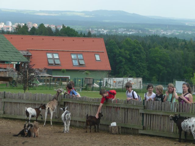 p1020202