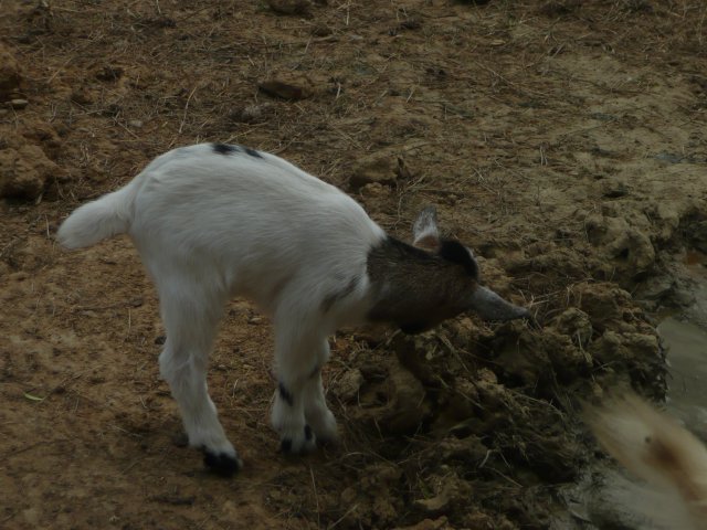 p1020203