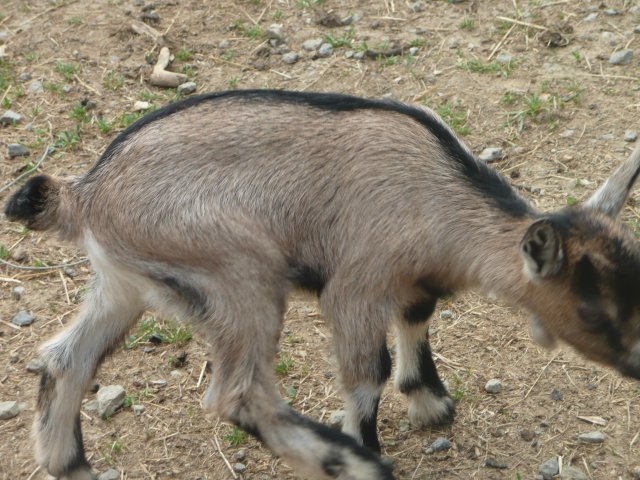 p1020206