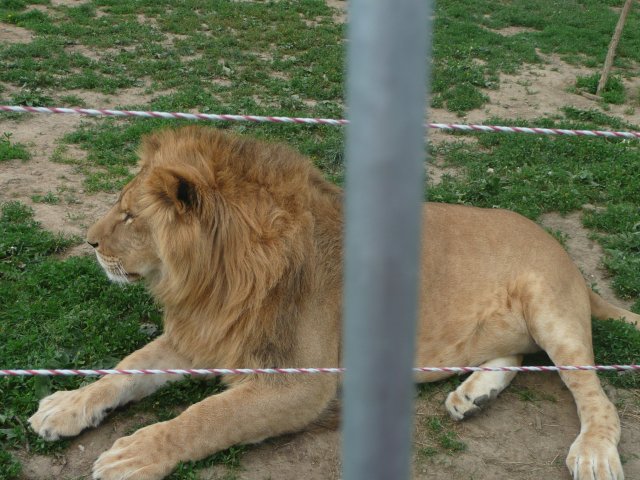 p1020212