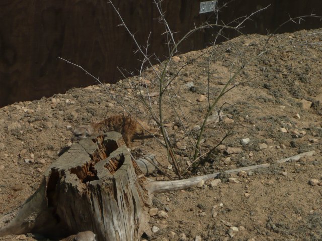 p1020213